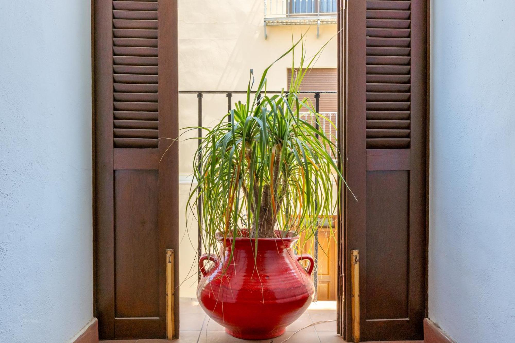 Denia Townhouse Apartment Exterior foto